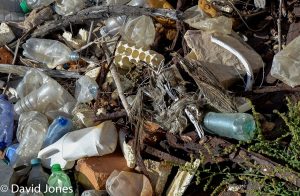 Fraser Announces Partnership with Plastic Oceans Foundations