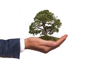 Ideas For Getting Your Staff To Be More Environmentally Friendly