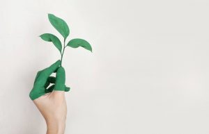 How Going Green Actually Helps You Save Money