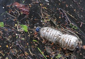 Plastic Overuse is No Joke: Here’s How You Can Actually Help