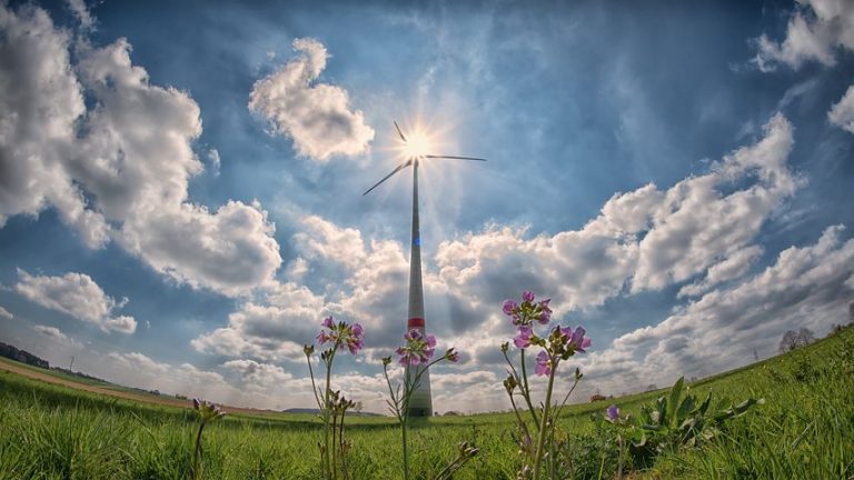 Why the wind is changing for renewable energy in France