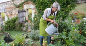 Eco-Friendly Gardening Tips to Create an Eco Garden