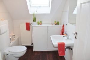 Everything You Need To Know About How Choosing an Eco-friendly Toilet Makes A Difference?