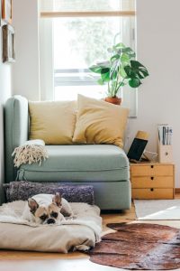 How To Make Your Home More Environmentally Friendly