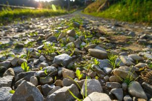 Creating a Natural Oasis: River Rock for Landscaping Techniques