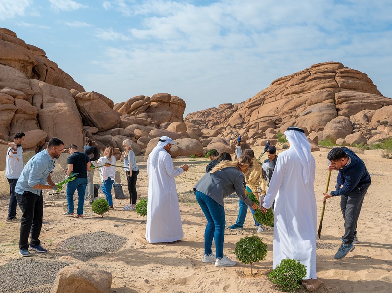 Tree Planting Projects UAE