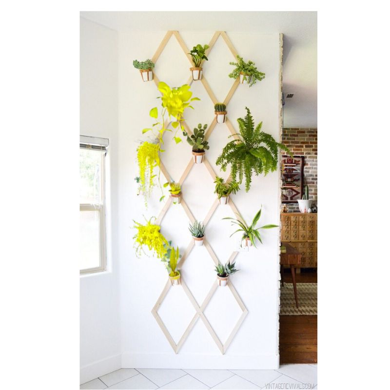 Wall-Mounted Trellises