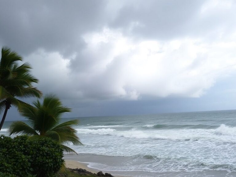 Hurricane Helene What to Expect as It Approaches the Gulf Coast The