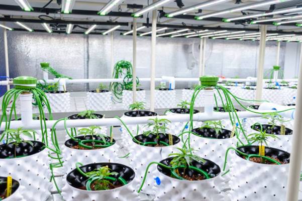 Automating Ebb and Flow Hydroponics