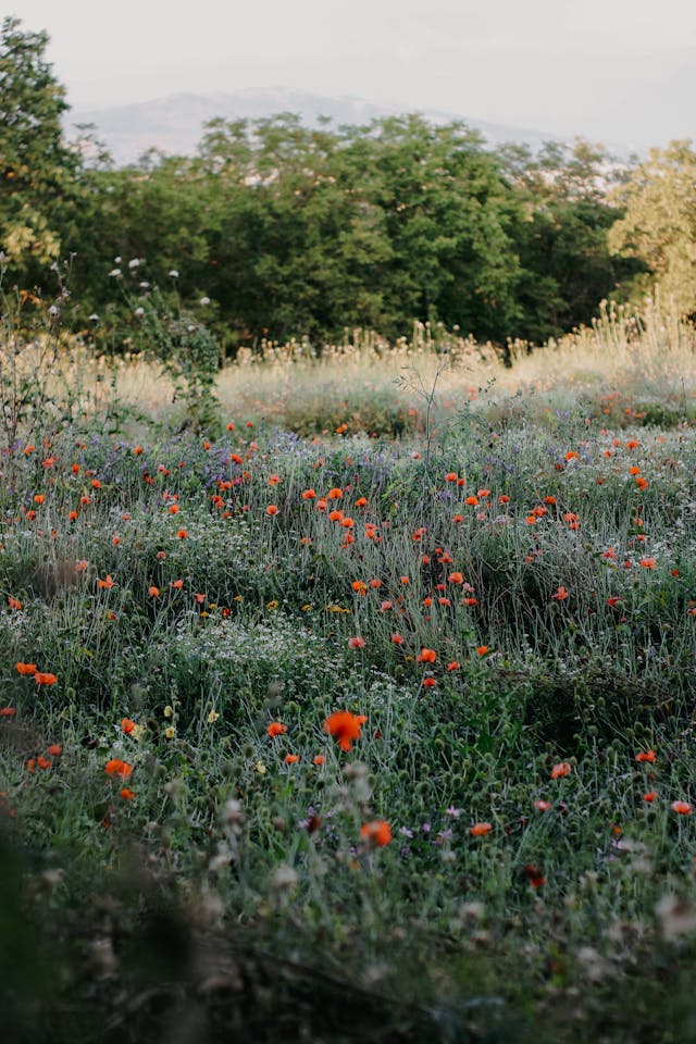 selecting right native plants