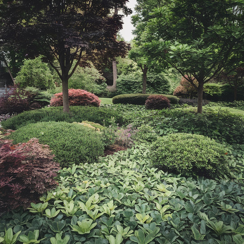 Integrating Trees, Shrubs