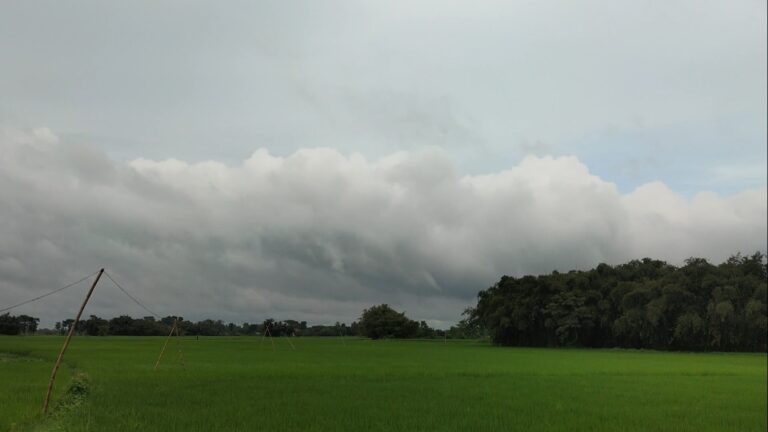 Monsoon in India