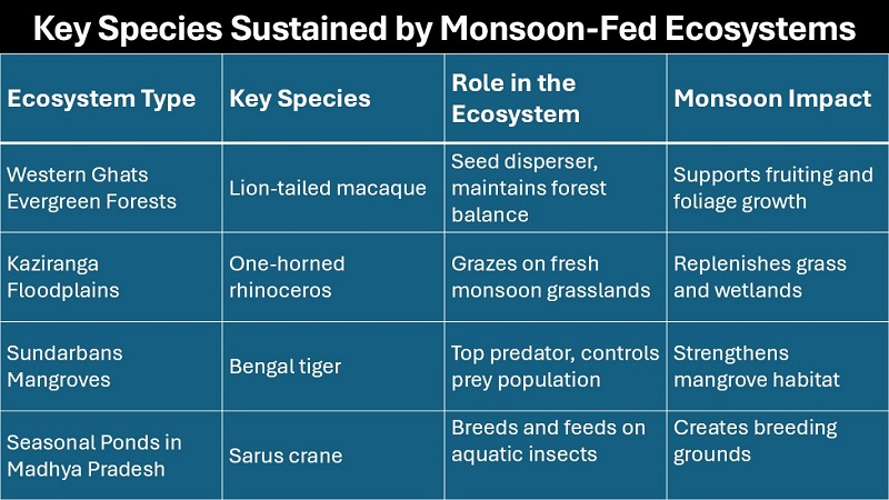 Monsoon feed ecosystem