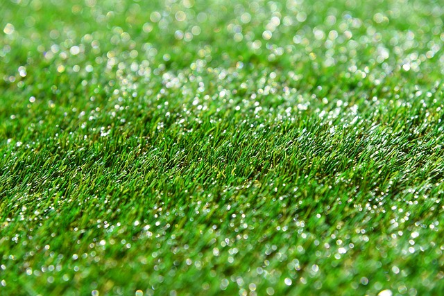 The Environmental and Practical Benefits of Artificial Turf