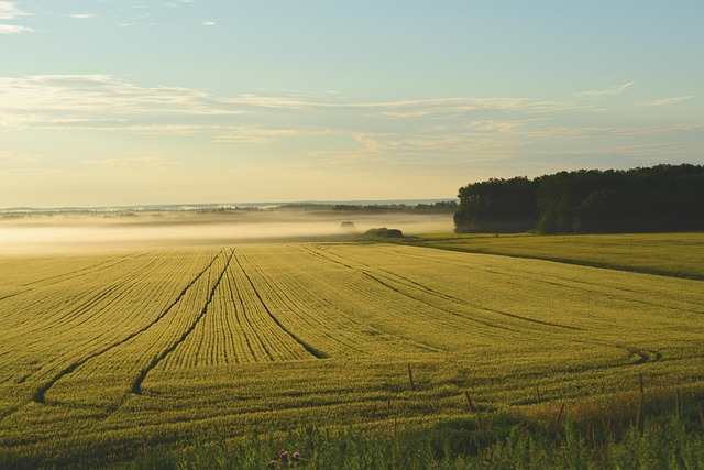 The Big Picture: Land Sales in the US and Texas