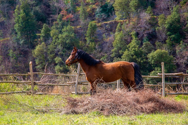 Land Sustainable in Texas