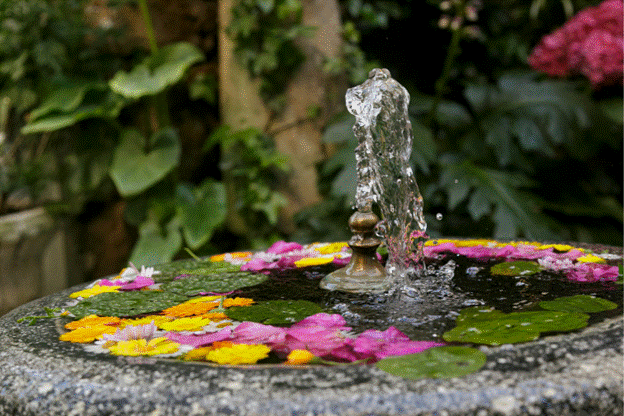 Step-by-Step Installation of Solar Pond Fountains for a Greener Backyard