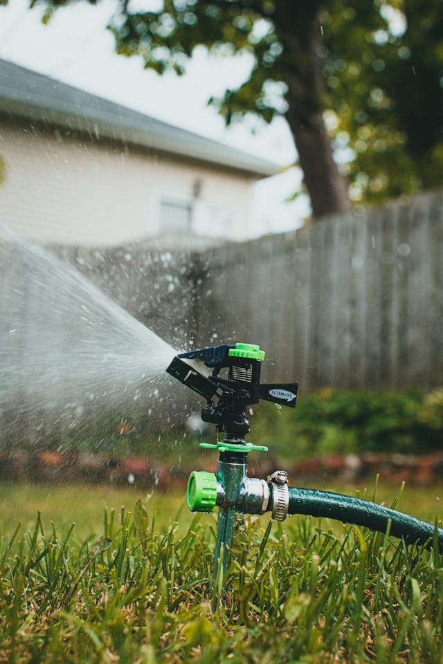 Sustainable Lawn Care 101: How to Maintain a Green Yard Without Harming the Planet