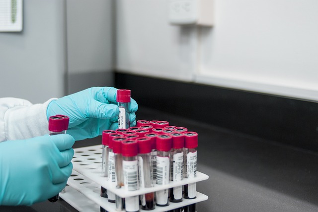 How to Move a Laboratory in Boston: Key Steps, Costs, and Risks