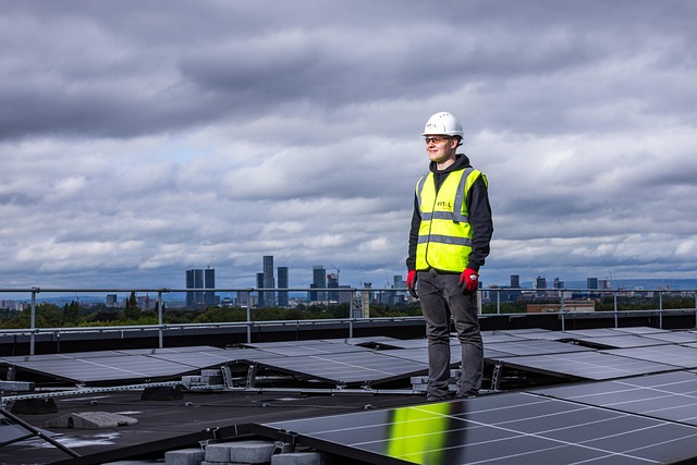 The Real Deal on Solar Panels: Finding Your Perfect Match